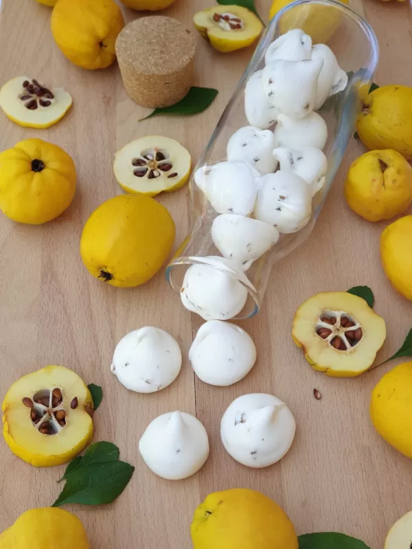 CIDONIJU PRODUKTI | BEZĒ CEPUMI